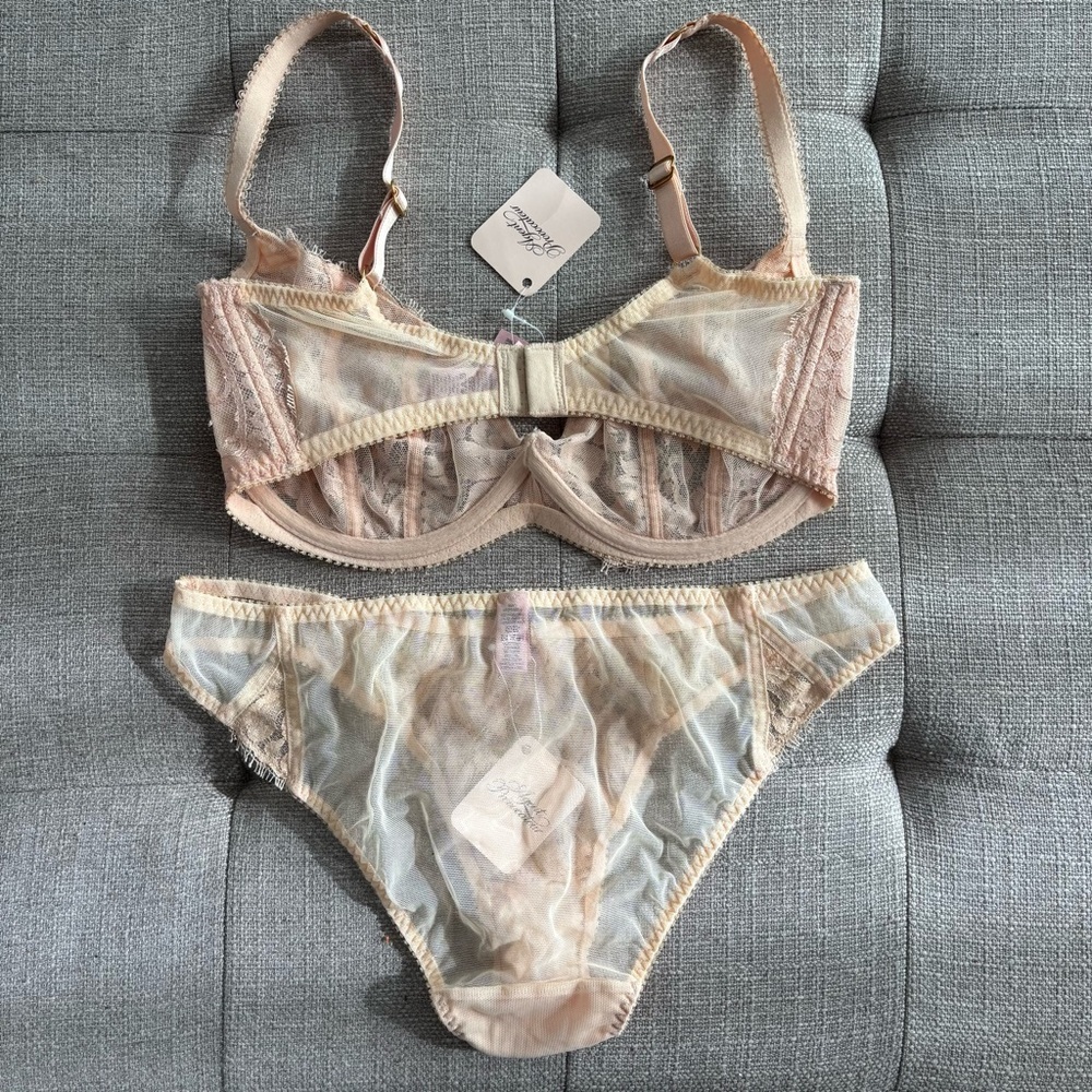 NWT Agent Provocateur Darla Bra 36E and Panties 4 (L) Brief Set of 2 Champagne - Picture 5 of 9